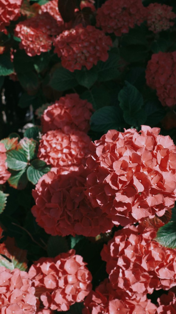 nature 10.1a nature 10.1a